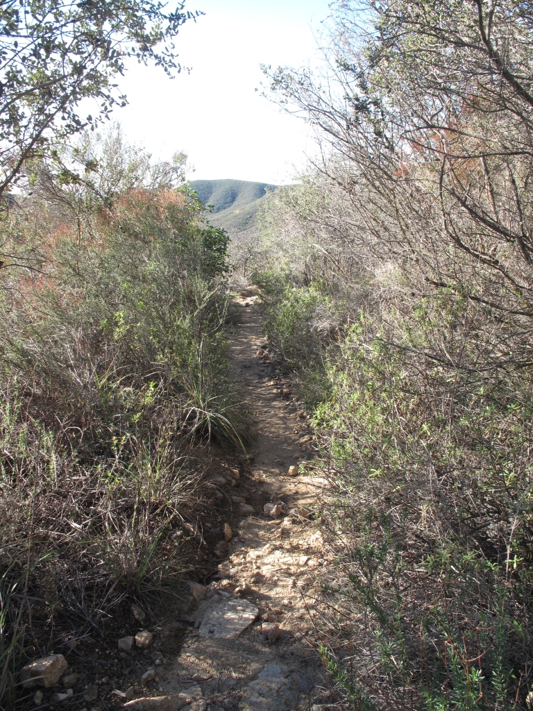 Rough trail section